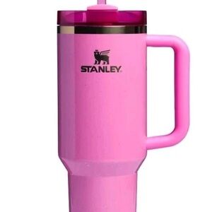 2024 Stanley 40oz Tumbler (Wicked Theme, Glinda) with new straws.